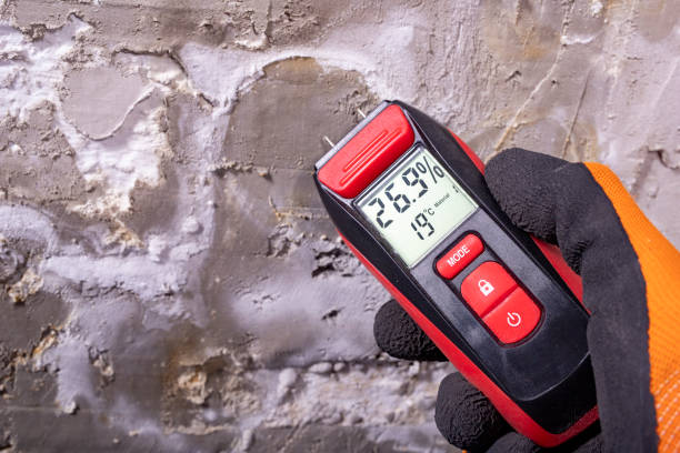 Best Attic Mold Remediation in Vance, AL