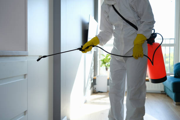 Professional Mold Remediation in Vance, AL