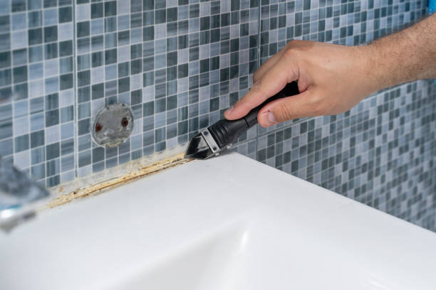 Best Insurance-Related Mold Remediation in Vance, AL