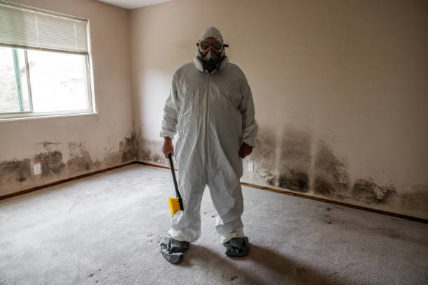 Best Commercial Mold Remediation in Vance, AL